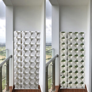 Trồng Cây Đứng Ban Công Minigarden (Ngang 1M X cao 2M) bằng cây Hoa Lài thơm tại Quận 2