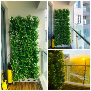 Thi Công Trồng Cây Đứng Ban Công Chung Cư Minigarden Hoa Lài có Tưới Nhỏ Giọt Bán Tự Động Không có Nguồn Cấp Nước tại nơi trồng cây đứng