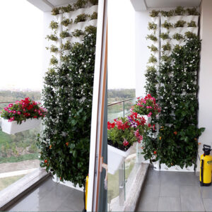 Thi Công Tường Cây Đứng Minigarden phong cách Châu Âu (1m2) tiện lợi, sang trọng và độc đáo