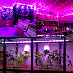 Đèn Nuôi Đông Trùng Hạ Thảo Led Dài 1.2M Green Smart Light 30W