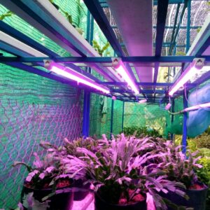 Đèn trồng RAU trong nhà (Giá 595k/bộ). Đèn Led Trồng Rau trong nhà. Loại 30w với 18000 lm