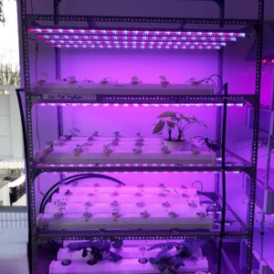 Đèn Nông Nghiệp LED cho Tủ Trồng Rau Trong Nhà - Green Smart Light nhập khẩu
