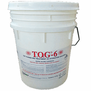 Rữa Hoa Tươi Khỏi Nấm Bệnh Bằng Bột Clo TOG 6 (KG)