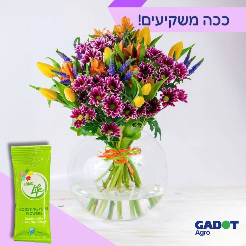 Dưỡng Hoa Tươi Lâu LongLife Giúp Hoa Nở Đẹp, Không Hôi Nước