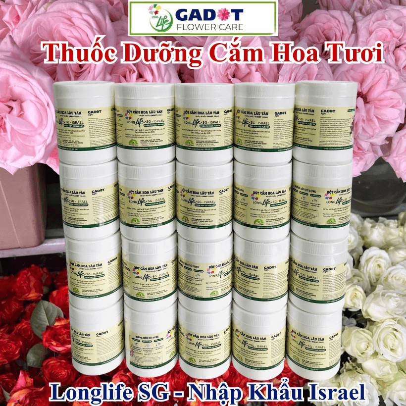 Bột Cắm Hoa Tươi Lâu Tàn LongLife SG của Israel