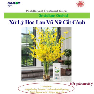 Thuốc Dưỡng Hoa Lan lâu tàn tại Vườn Lan Longlife SL (1%)