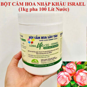 THUỐC BỘT CẮM HOA LÂU TÀN TẠI SHOP NHẬP KHẨU ISRAEL GIÚP HOA CẮM XỐP TƯỚI LÂU GẤP 2 LẦN VÀ HẠN CHẾ THAY HOA SỰ KIỆN, HOA CẮM XỐP