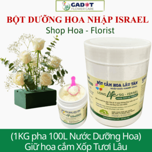 Shop Hoa Bảo Quản Hoa Cắm Lẵng Tươi Lâu Bằng Bột Dưỡng Hoa Longlife (Hộp 1KG) của Israel