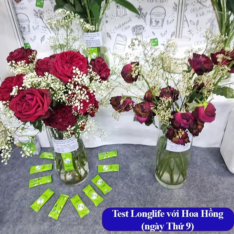 Thuốc Cắm Hoa Hồng Tươi Lâu Hiệu LongLife 5gr nhập khẩu Israel