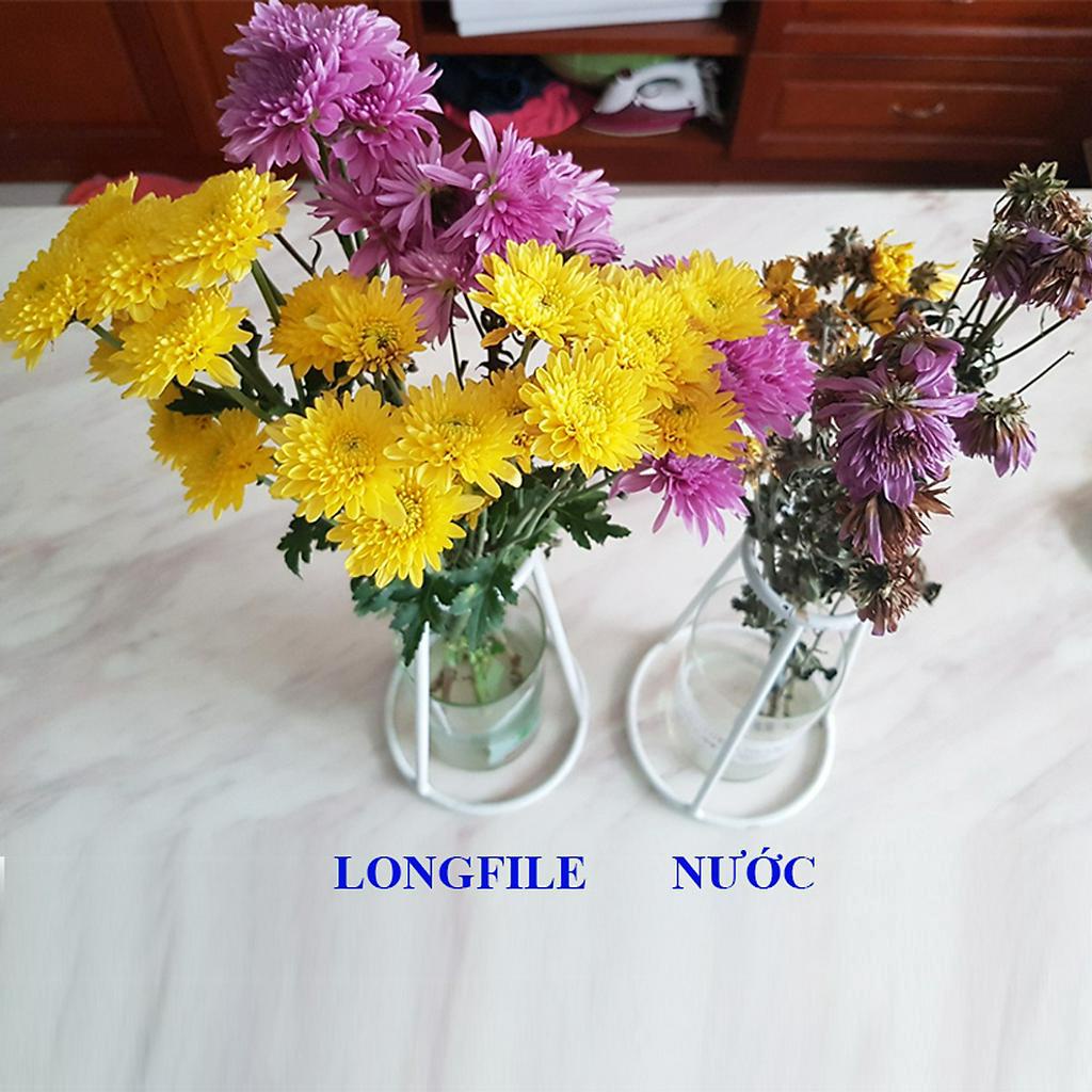 Dưỡng Hoa Tươi Lâu LongLife Giúp Hoa Nở Đẹp, Không Hôi Nước
