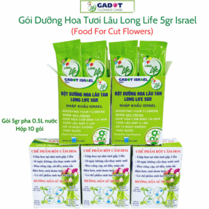 Nước Cắm Hoa LongLife Giúp Hoa Tươi Lâu (50 gói pha 50 bình hoa) Cắm Bình Tại Nhà