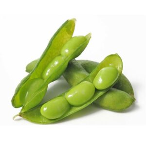 Hạt Giống Hữu Cơ Nhập Khẩu (Giống Đậu nành) Soy Minigarden Seeds (Hết hàng)