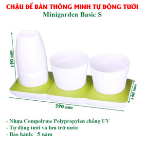 Chậu Để Bàn Trồng Cây Văn Phòng Tự Dưỡng và Tự Sống Tốt Minigarden Basic S