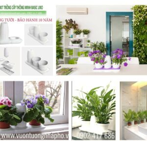 Combo 2 SET Chậu Trồng Cây Văn phòng tự tưới trong 2 tháng nhập khẩu Minigarden Basic S