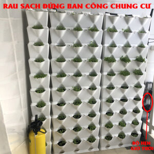 BỘ HẸN GIỜ ĐIỂU KHIỂN TƯỚI TỰ ĐỘNG AQUAPRO CỦA ISRAEL TẠI MỘT VƯỜN RAU ĐỨNG BAN CHUNG CƯ QUẬN TÂN BÌNH