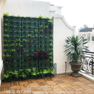 KHUNG MINIGARDEN VƯỜN TƯỜNG ĐỨNG (1M2) CÓ TƯỚI NHỎ GIỌT BÁN TỰ ĐỘNG