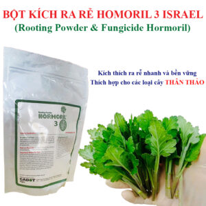 NHÂN GIỐNG HOA CÚC BẰNG BỘT KÍCH RA RỄ NHANH CỦA ISRAEL (Túi 500gr LOẠI THƯỜNG)