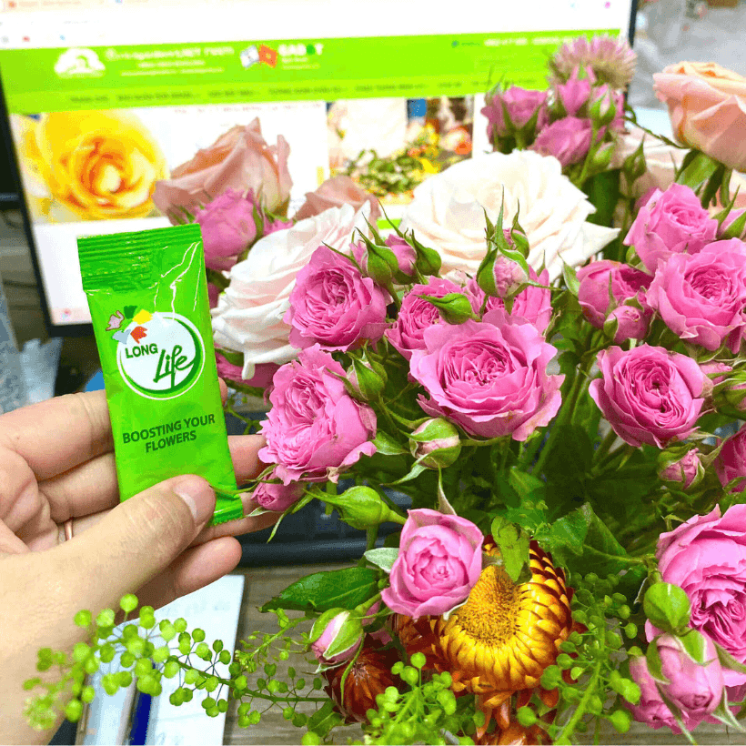 Gói Dưỡng Cắm Hoa Hồng Tươi Lâu Long Life 5gr