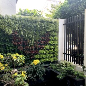 Thi công Vườn Đứng Sân Trước cây ngoài trời bằng Khung Module Minigarden Châu Âu có tưới nhỏ giọt tự động