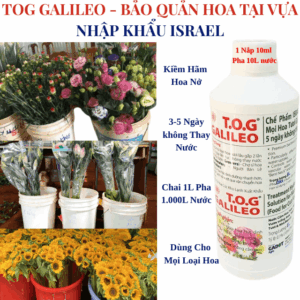 NƯỚC CẮM HOA HƯỚNG DƯƠNG LÂU TÀN CỦA ISAREL HIỆU TOG GALILEO (Chai 1L đậm đặc pha 1.000L dung dịch xử lý)
