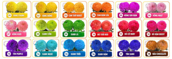 Nước Màu Nhuộm Hoa Tươi