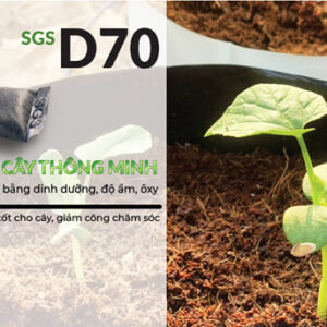 TÚI NÉN XƠ DỪA TRỒNG GIỐNG DƯA LƯỚI CON (COMBO 100 VIÊN) ĐÃ GỒM PHÂN BÓN 45 NGÀY