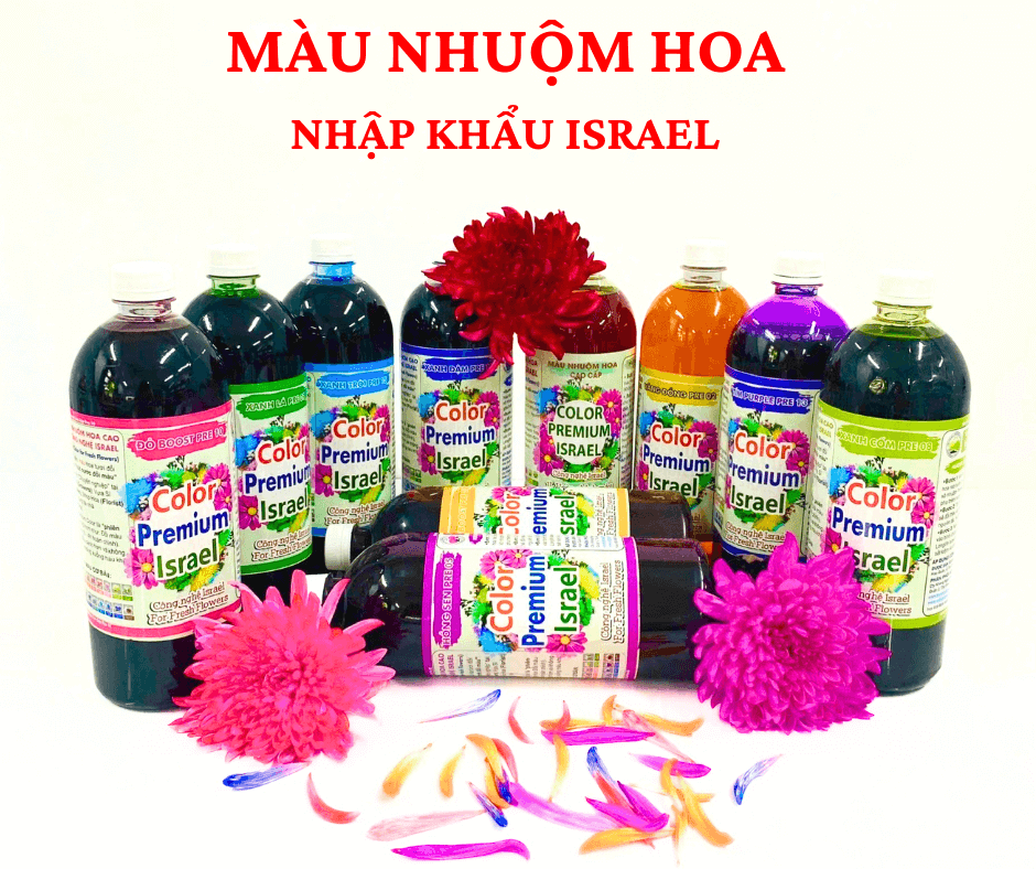 Nước Màu Nhuộm Hoa Tươi Premium Color Israel