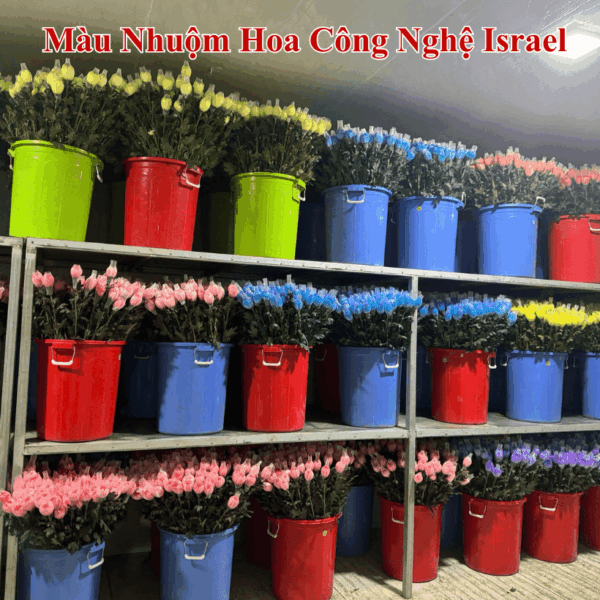 Nước Màu Nhuộm Hoa Tươi