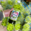 Nước Màu Nhuộm Hoa Tươi
