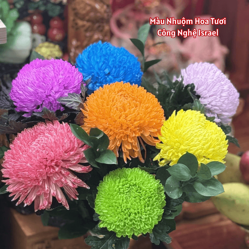 Nước Màu Nhuộm Hoa Tươi Premium Color Israel