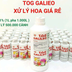 THUỐC NƯỚC CẮM HOA CÚC TƯƠI LÂU VÀ GIÚP BỘ LÁ HOA CÚC LUÔN TƯƠI MỚI HIỆU TOG GALILEO (TỶ LỆ 0.1%)