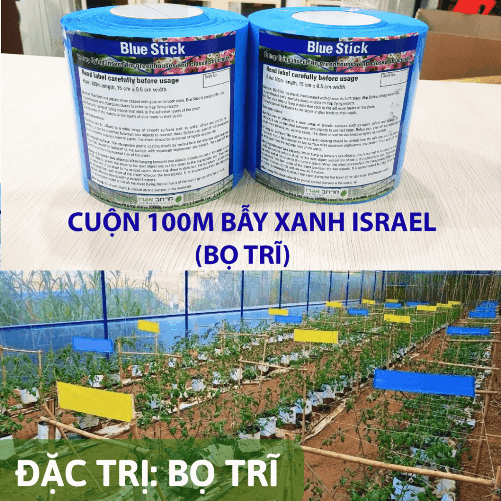 Keo Bẫy Xanh Israel Blue Stick Cuộn 100 Mét – Bẫy Côn Trùng Bay Trong Nhà Kính