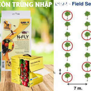 BẪY RUỒI TRÁI CÂY bằng chai có mùi Pheromone FF ATTRACTIVE TRAP CỦA ISRAEL