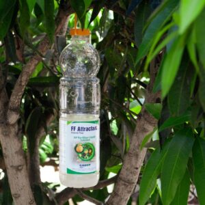 Chai Bẫy Ruồi Tự Chế Keo Dính Nhập Khẩu Israel