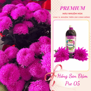 Nước Nhuộm Hoa Tươi Màu Hồng Sen Đậm Pre 05 Color Premium Israel For Fresh Flowers