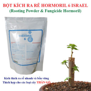 Siêu Ra Rễ Nhanh Nhập Khẩu Israel Cây Thân Gỗ (Túi 500gr) Loại thường không ngừa nấm bệnh