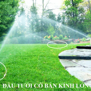 THI CÔNG TƯỚI CẢNH QUAN SÂN VƯỜN TỰ ĐỘNG CỦA MỸ