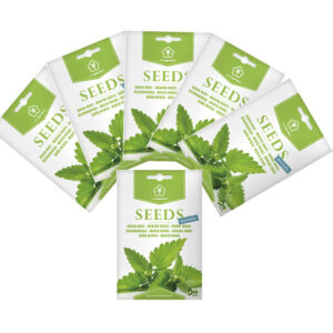 5 TÚI HẠT GIỐNG BẠC HÀ NHẬP KHẨU MINIGARDEN (GIẢM 30% CÒN 49K)