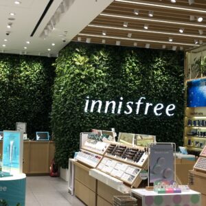 DỊCH VỤ CHĂM SÓC BẢO DƯỠNG TƯỜNG CÂY ĐỨNG TRONG NHÀ BỒ ĐÀO NHA SAU BÀN GIAO (1M2)