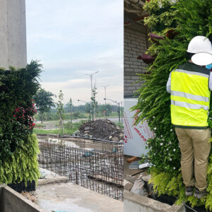 THI CÔNG TƯỜNG CÂY ĐỨNG BỒ ĐÀO NHA MẪU MIỄN PHÍ DỰ ÁN CẢNH QUAN XANH QUẬN 2