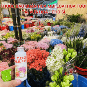100L NƯỚC BẢO QUẢN HOA TẠI CHỢ SỈ HOA TOG GALILEO (CHAI NHỎ 100ml)