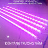 Đèn LED Quang Hợp Trồng Nấm Linh Chi Trong Nhà