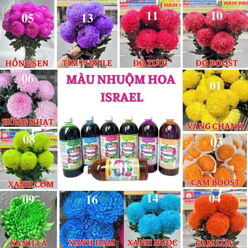 Màu Nhuộm Hoa Tươi Công nghệ Israel