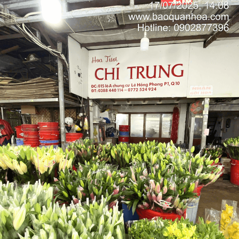 Nước Ngâm Hoa Trong Xô TOG Galileo Israel Giúp Hoa Tươi Lâu Cho Chợ Sỉ Hoa