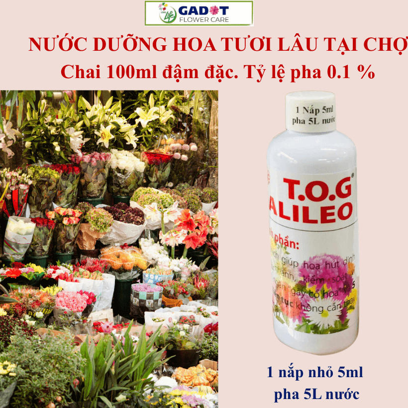 Nước Ngâm Hoa Trong Xô TOG Galileo Israel Giúp Hoa Tươi Lâu Cho Chợ Sỉ Hoa