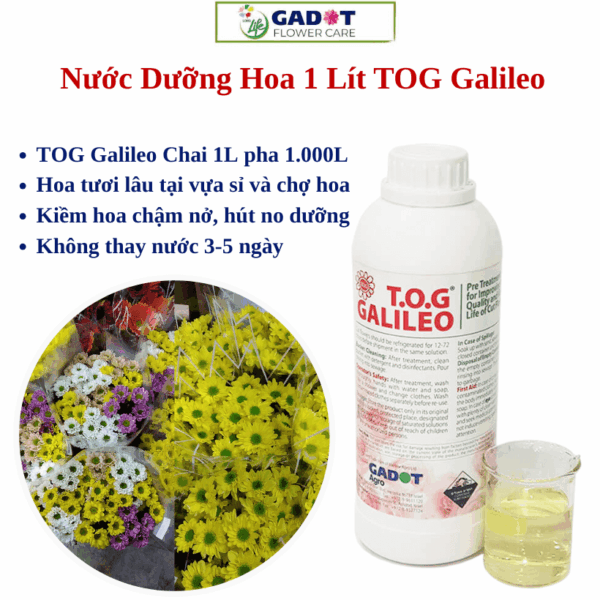 Nước Dưỡng Hoa Tươi tại Chợ Sỉ Hoa TOG Galileo
