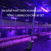 Đèn LED Quang Hợp Trồng Nấm Linh Chi Trong Nhà