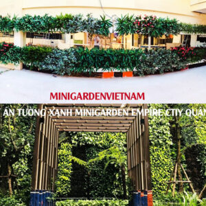 BẢO TRÌ ĐÌNH KỲ CÂY XANH ĐỨNG BỒ ĐÀO NHA MINIGARDEN SAU THI CÔNG NGHIỆM THU VÀ BÀN GIAO