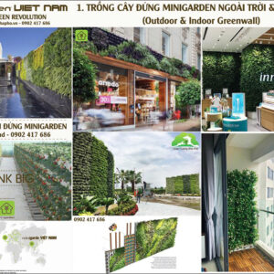 Chăm Sóc Bảo Dưỡng Cây Xanh Đứng Định Kỳ (1m2) sau bàn giao thi công Tường Xanh Bồ Đào Nha