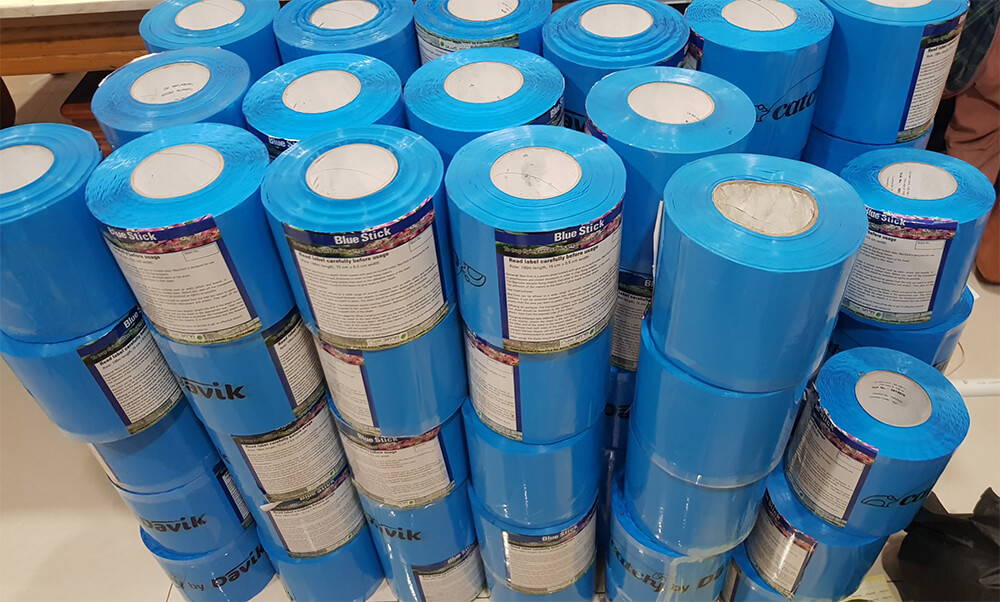 Keo Bẫy Xanh Israel Blue Stick Cuộn 100 Mét – Bẫy Côn Trùng Bay Trong Nhà Kính